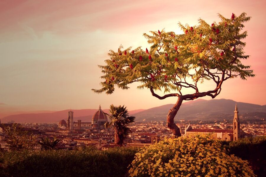 From Rome: Day Trip to Florence by High-Speed Train - Key points to know before booking