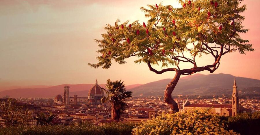 From Rome: Day Trip to Florence by High-Speed Train - The 100-minute high-speed train to Florence