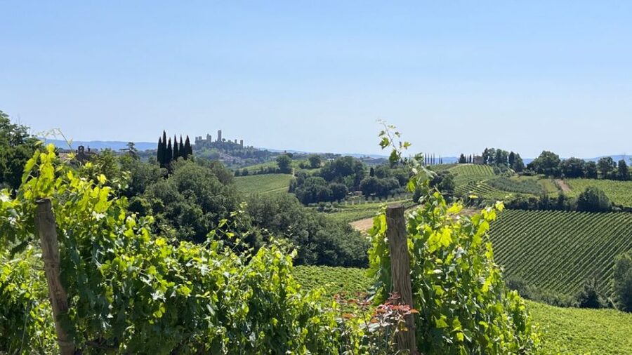 From Rome: Florence & Tuscany Day Tour by High-Speed Train - San Gimignano and its fourteen remaining towers