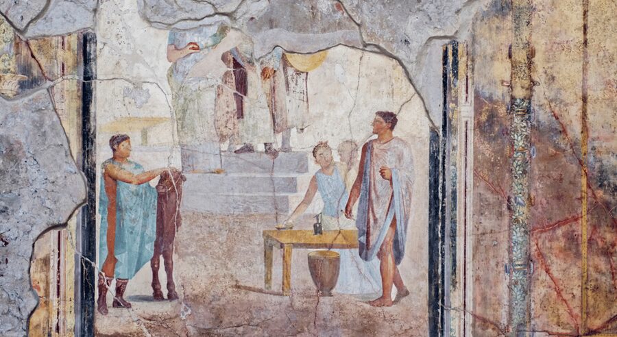 From Rome: Pompei by Bullet Train with Pasta Class & Lunch - Who will enjoy this most
