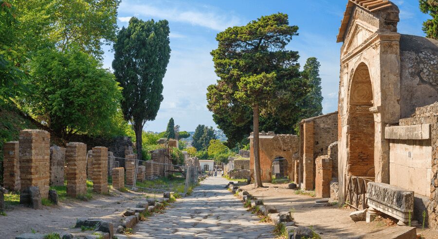 From Rome: Pompeii and Herculaneum Tour w/ High-speed Train - Walking, weather, and comfort