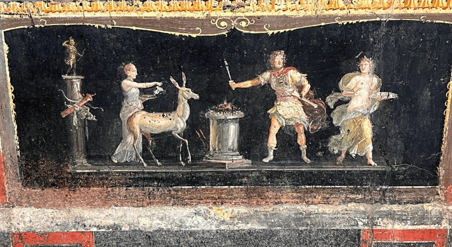 From Rome: Pompeii and Herculaneum Tour w/ High-speed Train - Herculaneum: smaller, tighter, and more detailed