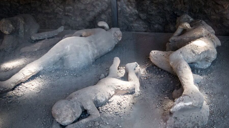 From Rome: Pompeii and Naples Day Trip by High-Speed Train - Posillipo and the Bay of Naples