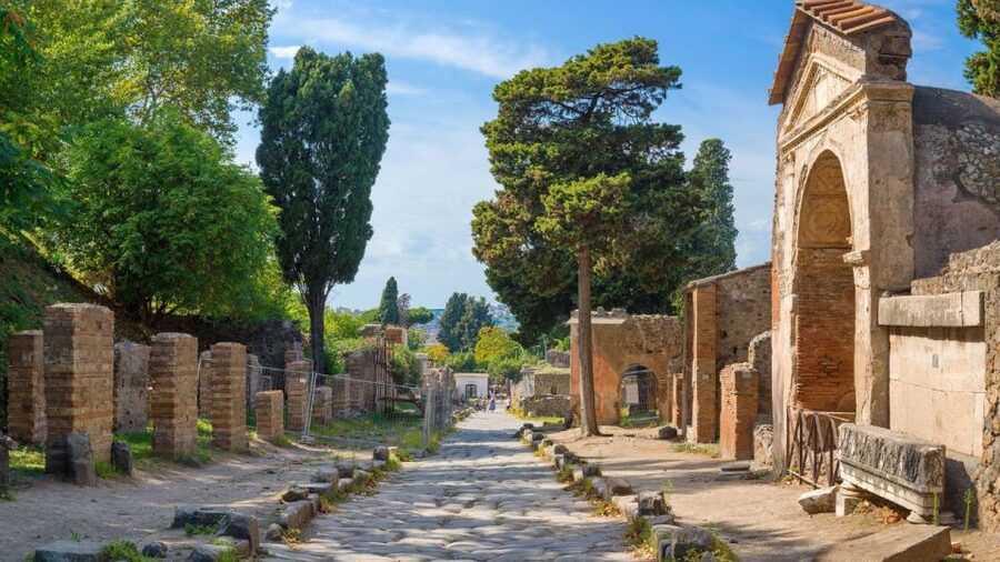 From Rome: Pompeii and Naples Day Trip by High-Speed Train - What the guides add to the day
