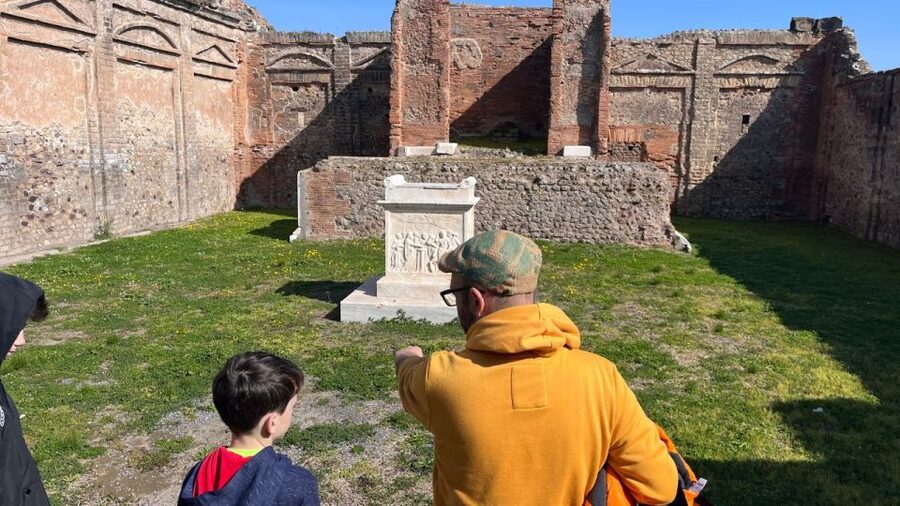 From Rome: Pompeii and Naples Day Trip by High-Speed Train - Is $259 a fair price?