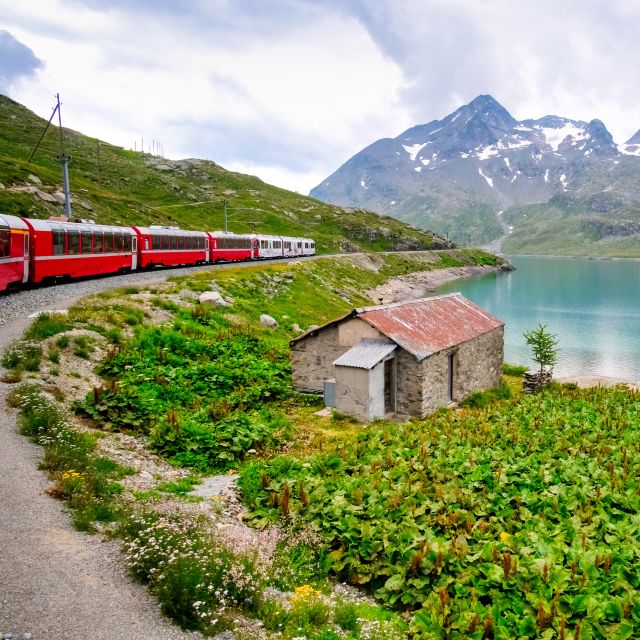 From Saint Moritz: Bernina Red Train to Tirano - Who will enjoy this day trip most?