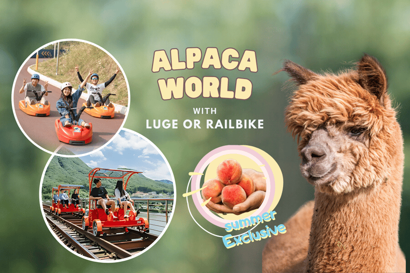 From Seoul: Full Day Trip to Alpaca Farm with Rail Bike - Key points to know before booking
