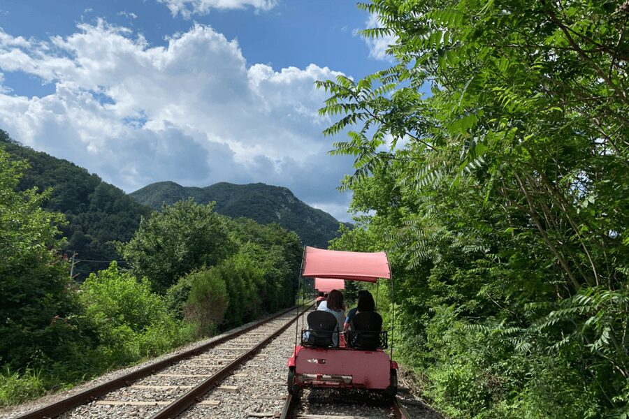 From Seoul: Full Day Trip to Alpaca Farm with Rail Bike - Gangchon Rail Park: an old railway with new energy