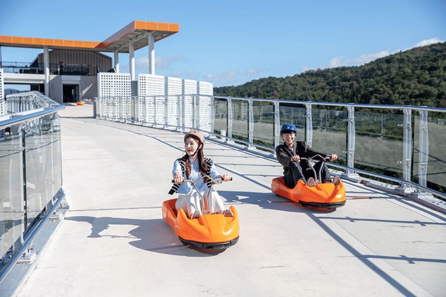From Seoul: Full Day Trip to Alpaca Farm with Rail Bike - Two and a half hours at Alpaca World