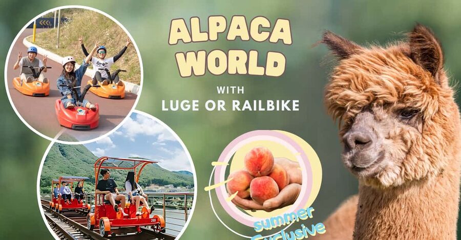 From Seoul: Full Day Trip to Alpaca Farm with Rail Bike - How the schedule feels in real life