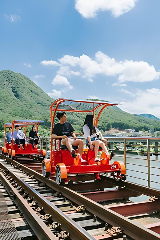 From Seoul: Full Day Trip to Alpaca Farm with Rail Bike - Who should choose the rail bike and who should choose the luge?
