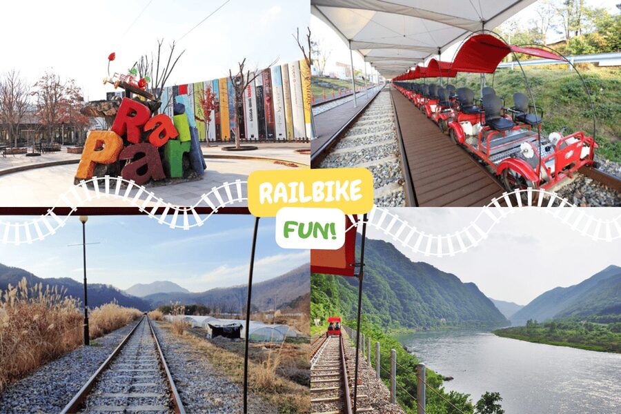 From Seoul: Full Day Trip to Alpaca Farm with Rail Bike - Three Seoul departure points, one final drop-off