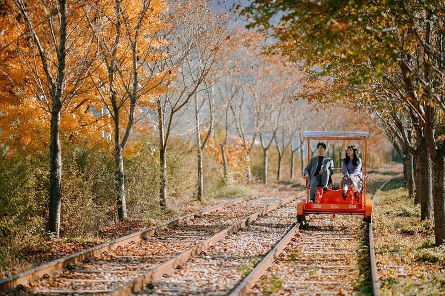 From Seoul: Nami Island, K-drama Garden & Rail Bike Day Tour - Key points at a glance