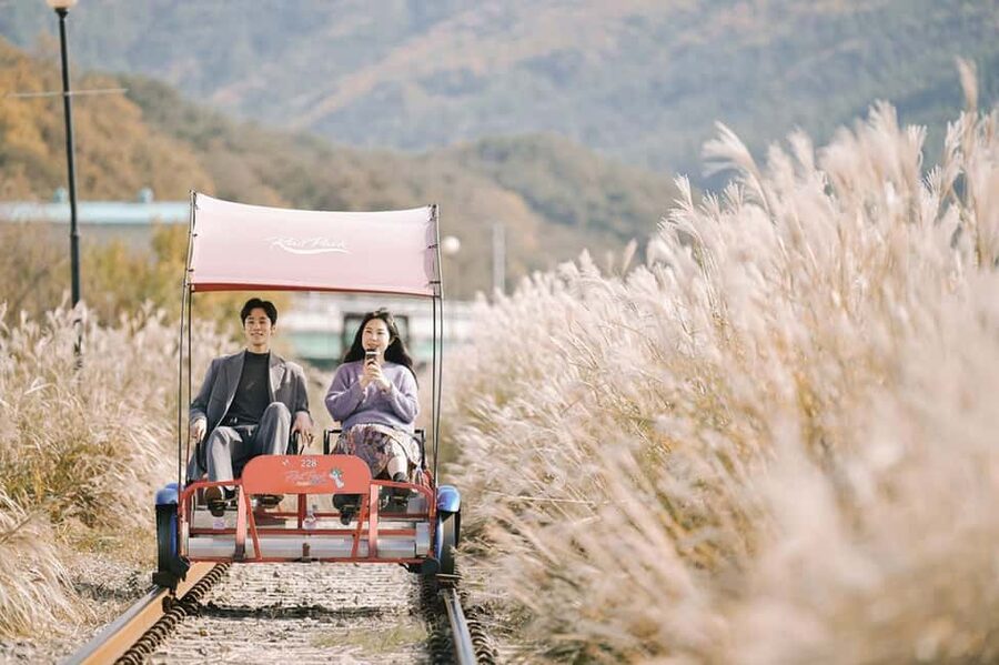 From Seoul: Nami Island, K-drama Garden & Rail Bike Day Tour - Nami Island: the romantic centerpiece