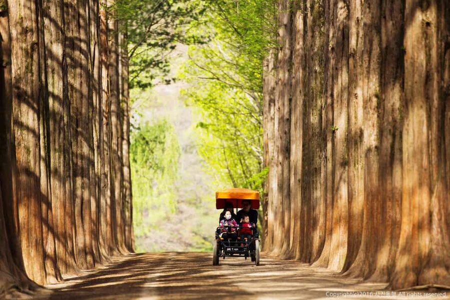 From Seoul: Nami Island, K-drama Garden & Rail Bike Day Tour - Gangchon Rail Bike beside the Bukhan River