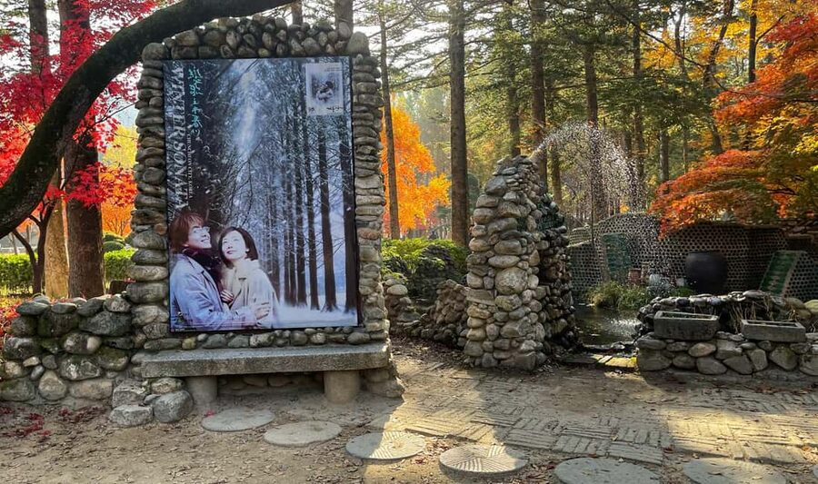 From Seoul: Nami Island, K-drama Garden & Rail Bike Day Tour - Lunch and the practical cost of the day