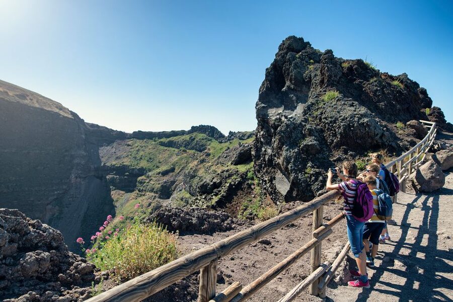 From Sorrento: Pompeii and Vesuvius Tour by Express Train - What the $191.45 price includes