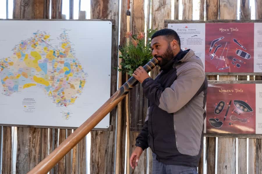 From Sydney: Blue Mountains, Scenic Railway, & Sydney Zoo - Why this Blue Mountains day trip works