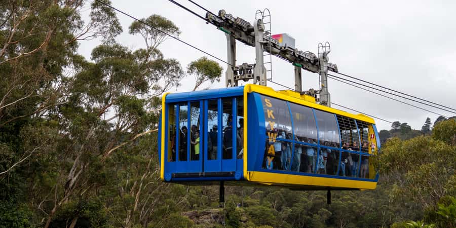 From Sydney: Blue Mountains, Scenic Railway, & Sydney Zoo - Early pickup from central Sydney