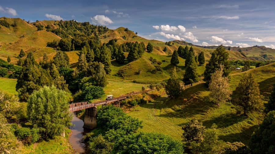 From Taumarunui: The Republic Rail Cart Adventure - Key points to know before booking