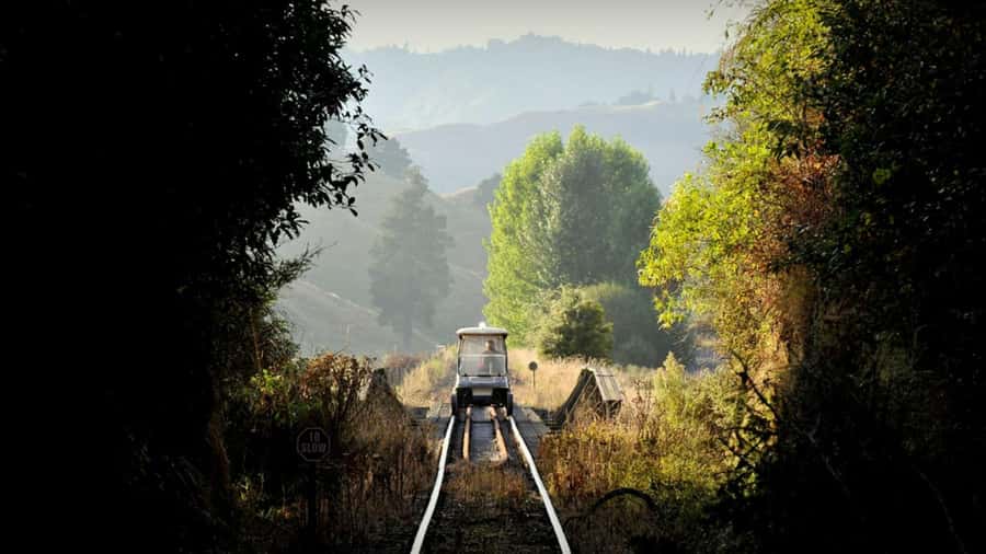 From Taumarunui: The Republic Rail Cart Adventure - Riding into New Zealand’s Forgotten World