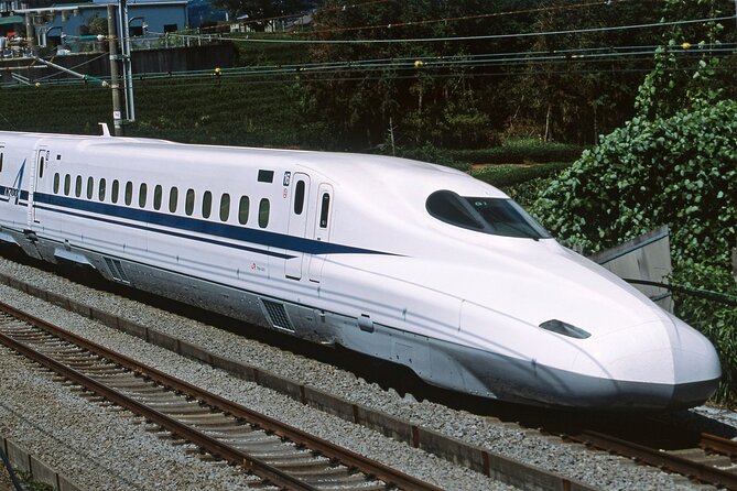 From Tokyo 1-Day Kyoto English-guided Tour by Bullet Train - Guides and group management
