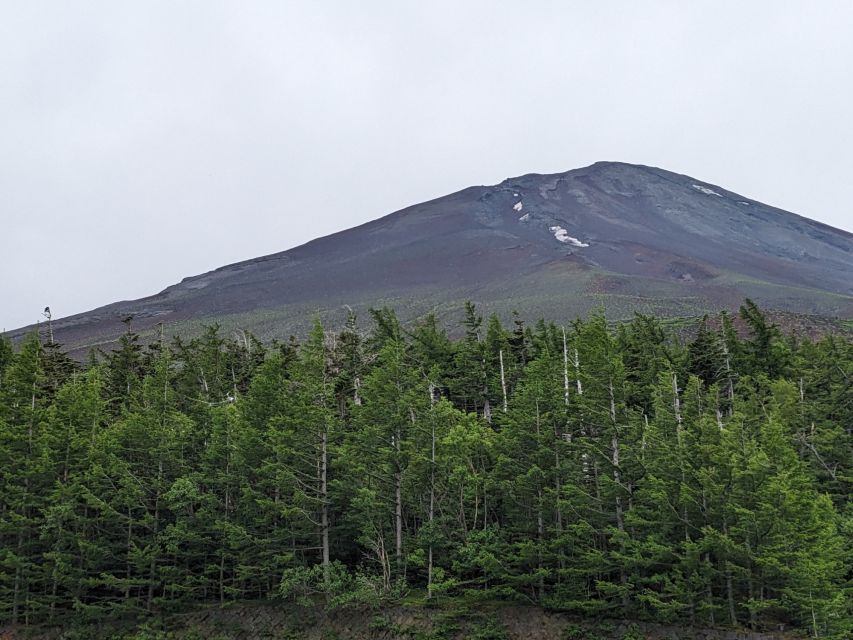 From Tokyo: Mt. Fuji & Hakone Tour w/ Return by Bullet Train - Lunch, hot pot, and the half buffet
