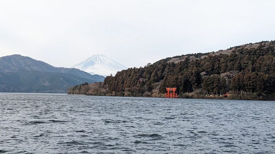 From Tokyo: Mt. Fuji & Hakone Tour w/ Return by Bullet Train - The Shinkansen home from Odawara