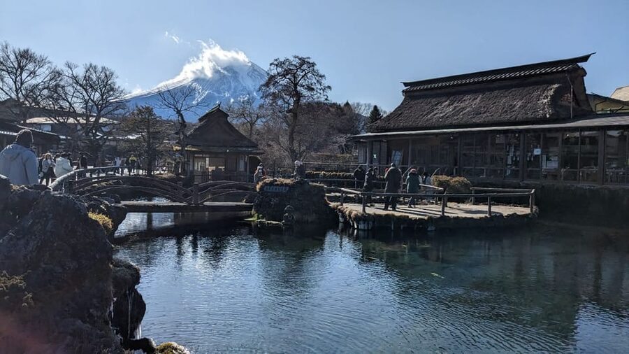 From Tokyo: Mt. Fuji & Hakone Tour w/ Return by Bullet Train - Guide quality and the pace of the day