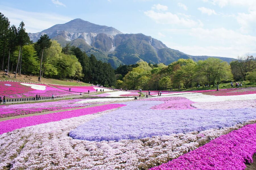 From Tokyo: Seibu Railway 1 Day Pass and Nagatoro - One pass, several very different days