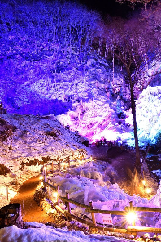 From Tokyo: Seibu Railway 1 Day Pass and Nagatoro - How to shape your one-day itinerary