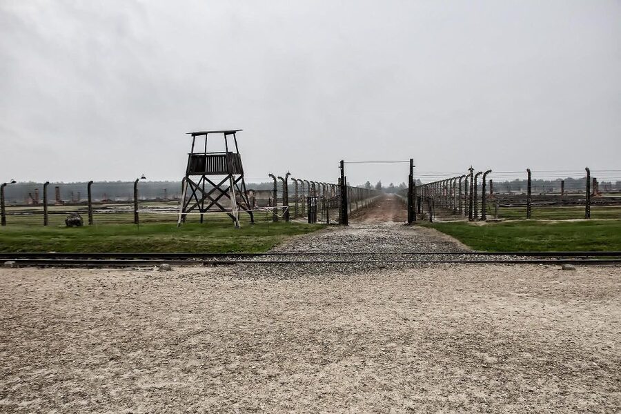 From Warsaw: Auschwitz-Birkenau Guided Tour with Fast Train - Key points to know before booking