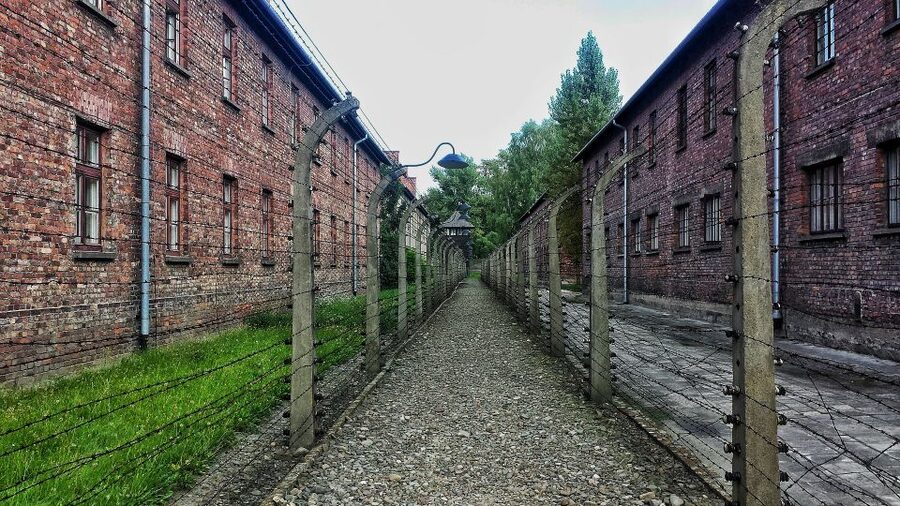 From Warsaw: Auschwitz-Birkenau Guided Tour with Fast Train - Why Auschwitz-Birkenau requires a full day
