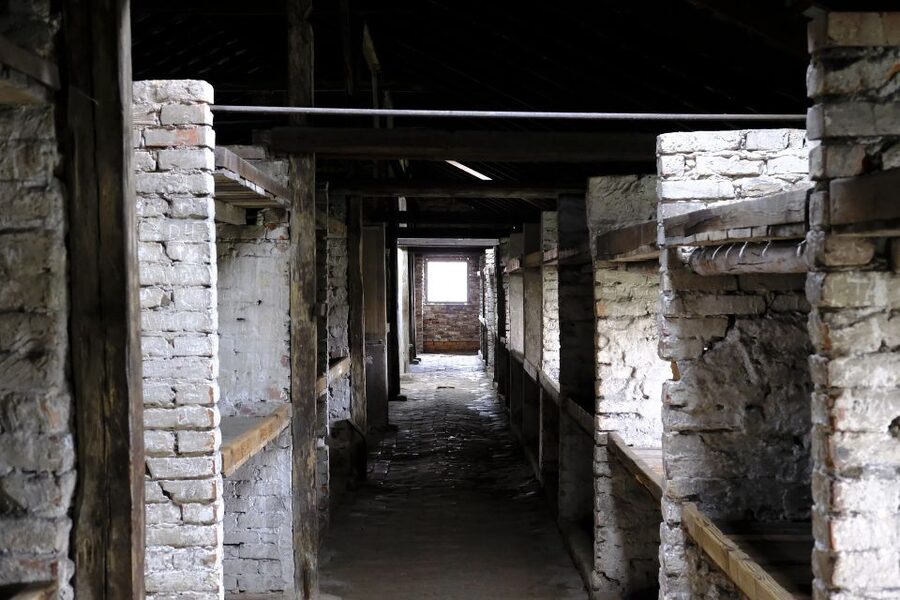 From Warsaw: Auschwitz-Birkenau Guided Tour with Fast Train - A guide-led visit, with some limits