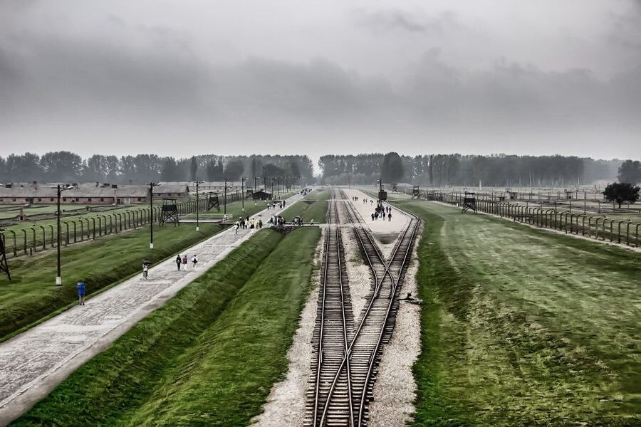 From Warsaw: Auschwitz-Birkenau Guided Tour with Fast Train - What the $181 price really covers