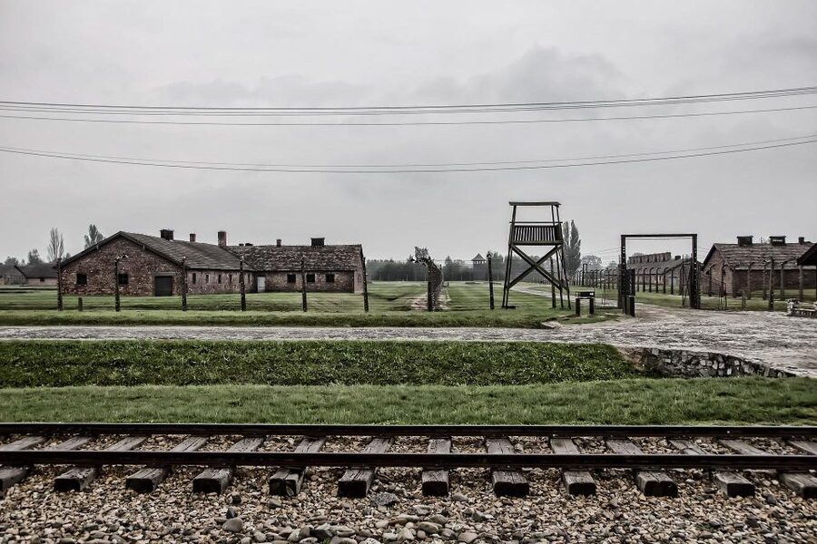 From Warsaw: Auschwitz-Birkenau Guided Tour with Fast Train - The day’s main drawbacks