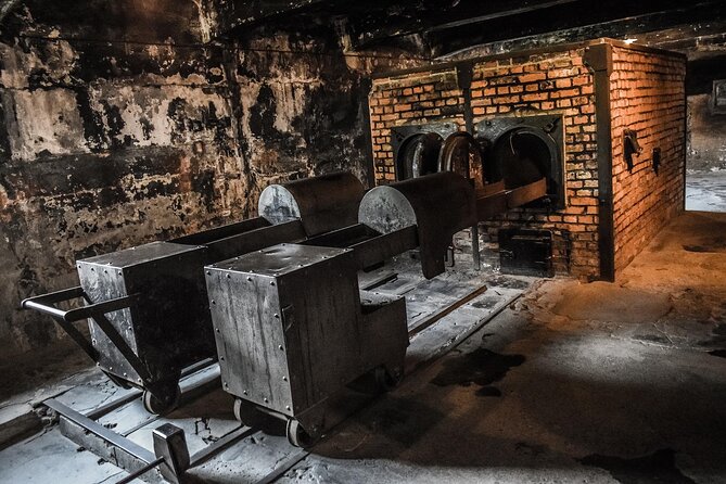 From Warsaw: Auschwitz-Birkenau Tour with Premium Train Transportation - What the guide adds to the visit