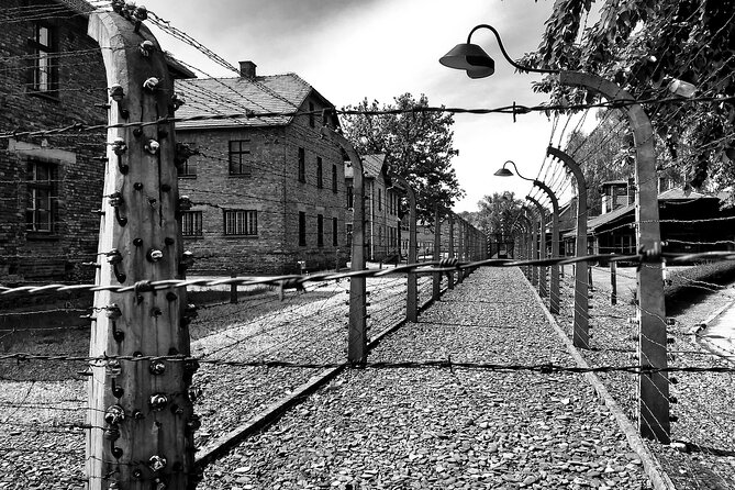 From Warsaw: Auschwitz-Birkenau Tour with Premium Train Transportation - Who should book this Auschwitz day trip?