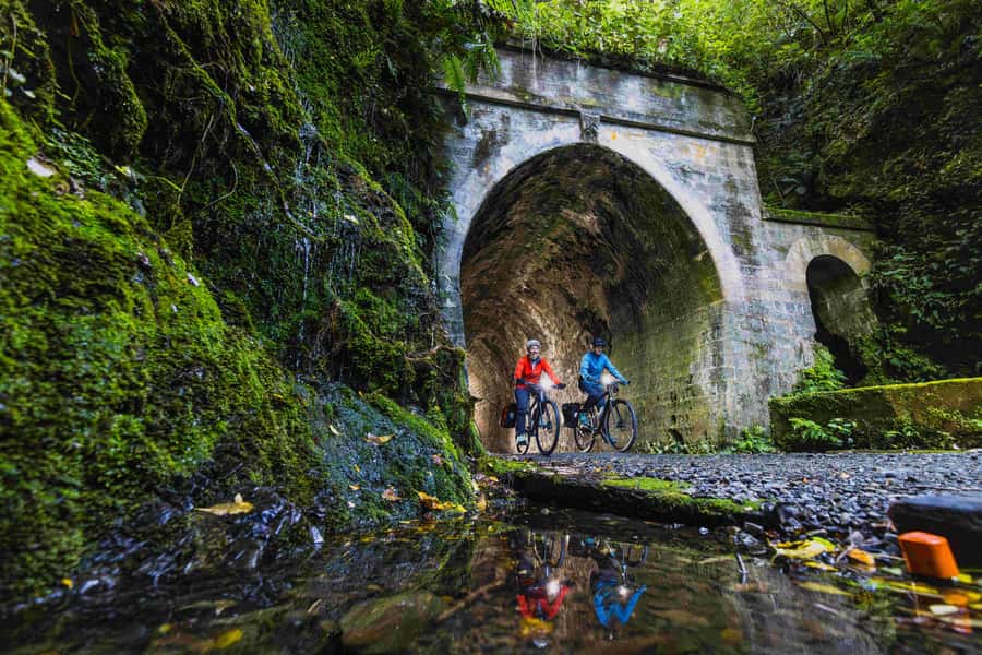 From Wellington: Remutaka Rail Trail eBike Tour - Key points to know before you book