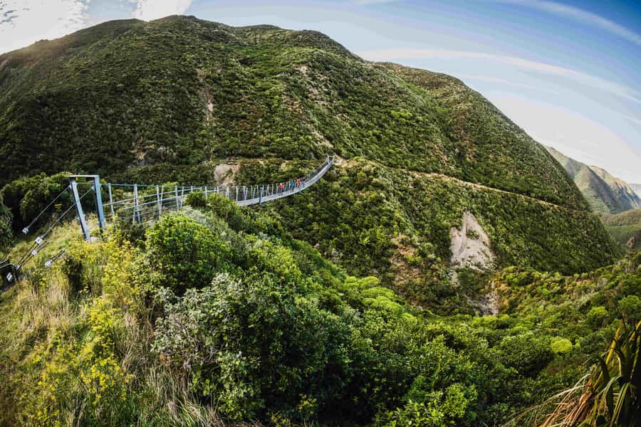 From Wellington: Remutaka Rail Trail eBike Tour - Why the Remutaka Rail Trail is more than a bike ride