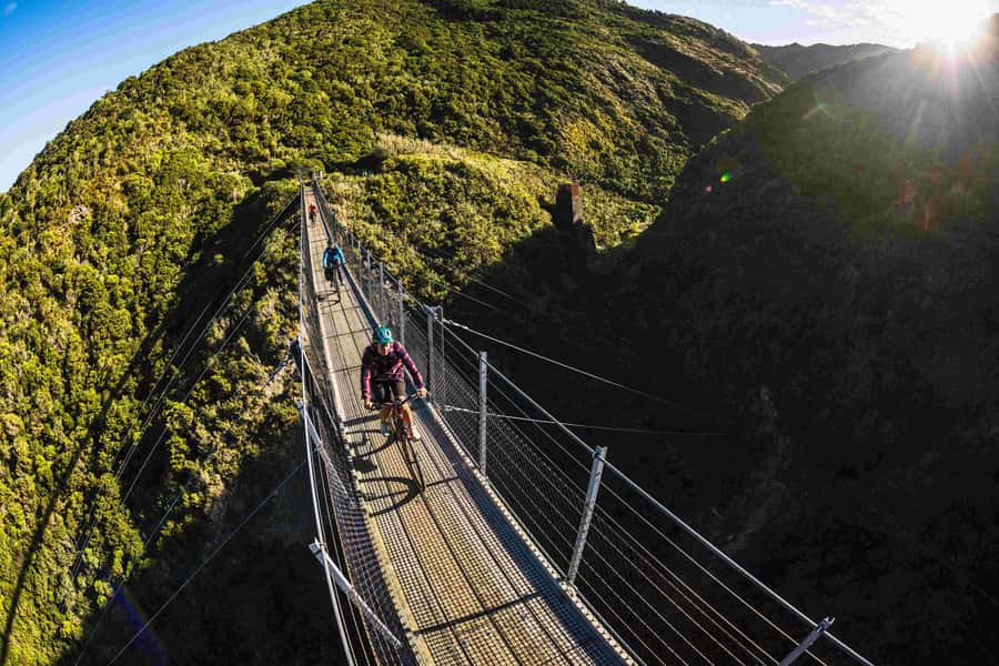 From Wellington: Remutaka Rail Trail eBike Tour - The gradual climb through native bush