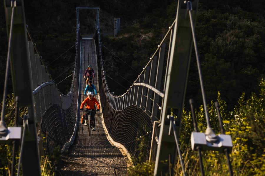 From Wellington: Remutaka Rail Trail eBike Tour - Railway tunnels, bridges, and the best photo stops