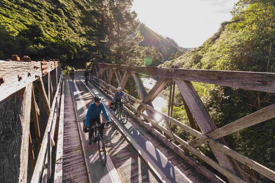 From Wellington: Remutaka Rail Trail eBike Tour - The final 10km through Wairarapa farmland