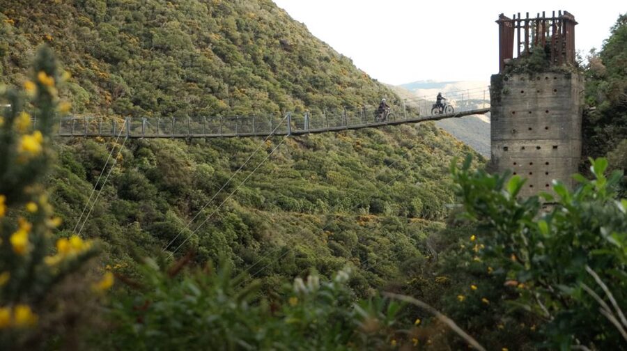 From Wellington: Remutaka Rail Trail eBike Tour - Is $131 good value?