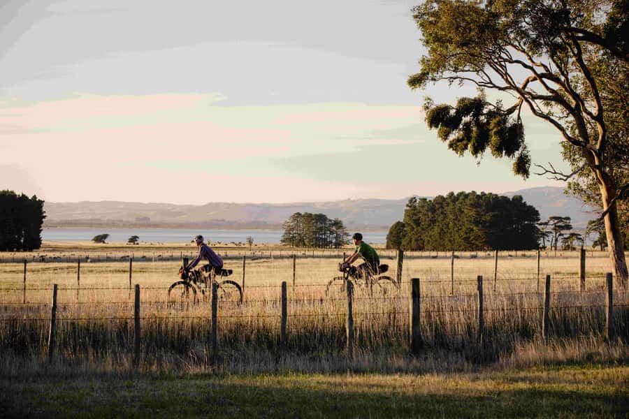 From Wellington: Remutaka Rail Trail eBike Tour - From Wellington Station to the Kaitoke trailhead
