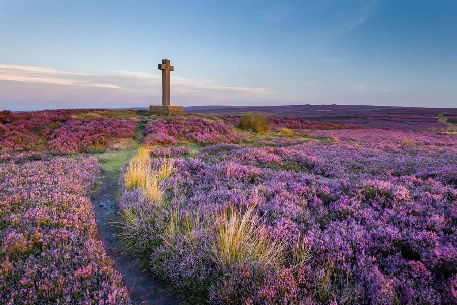 From York: Moors, Whitby, and the Yorkshire Steam Railway - Choosing between Whitby and the steam railway