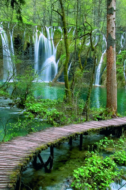 From Zadar: Plitvice Lakes Tour with Boat & Train Ride - Key points to know before booking