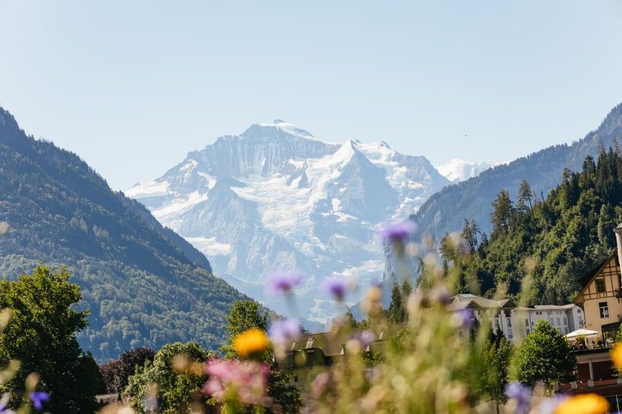 From Zurich: Day Trip to Jungfraujoch - Top of Europe - Reaching the Top of Europe
