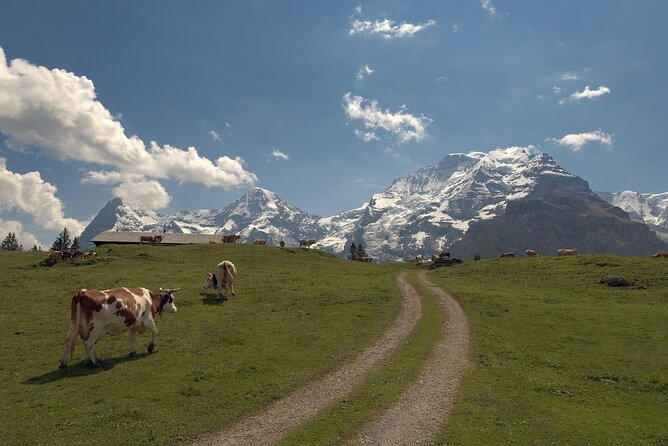 From Zurich to Top of Europe Jungfraujoch private tour - Interlaken between two lakes