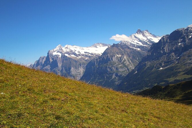 From Zurich to Top of Europe Jungfraujoch private tour - Kleine Scheidegg and the railway connection